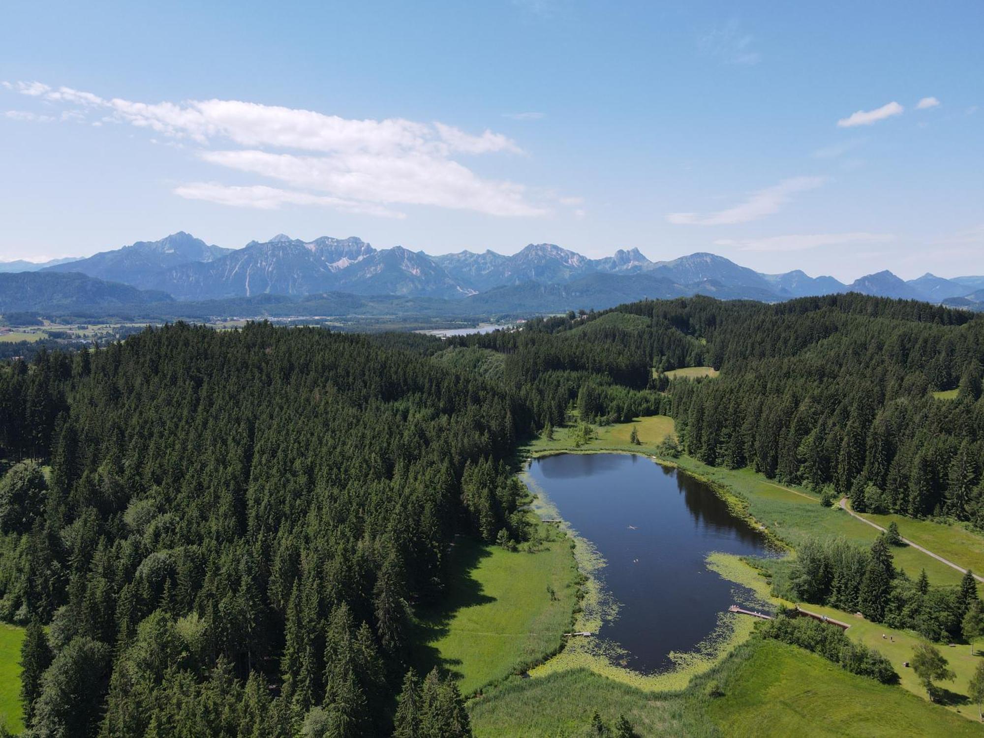Chalet - Ferienwohnungen - Biohof Stoeger - Panoramasuedbalkon - Grandiose Aussicht Auf See, Berge Und Schloss Neuschwanstein Rieden am Forggensee Exterior photo