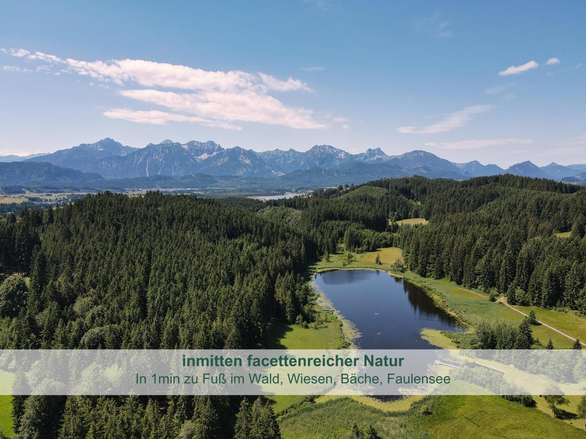 Chalet - Ferienwohnungen - Biohof Stoeger - Panoramasuedbalkon - Grandiose Aussicht Auf See, Berge Und Schloss Neuschwanstein Rieden am Forggensee Exterior photo