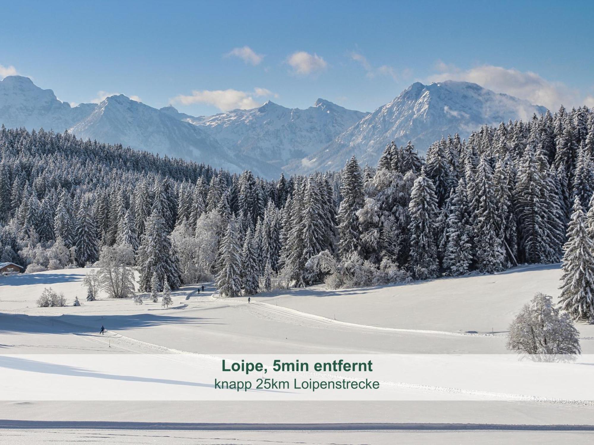 Chalet - Ferienwohnungen - Biohof Stoeger - Panoramasuedbalkon - Grandiose Aussicht Auf See, Berge Und Schloss Neuschwanstein Rieden am Forggensee Exterior photo