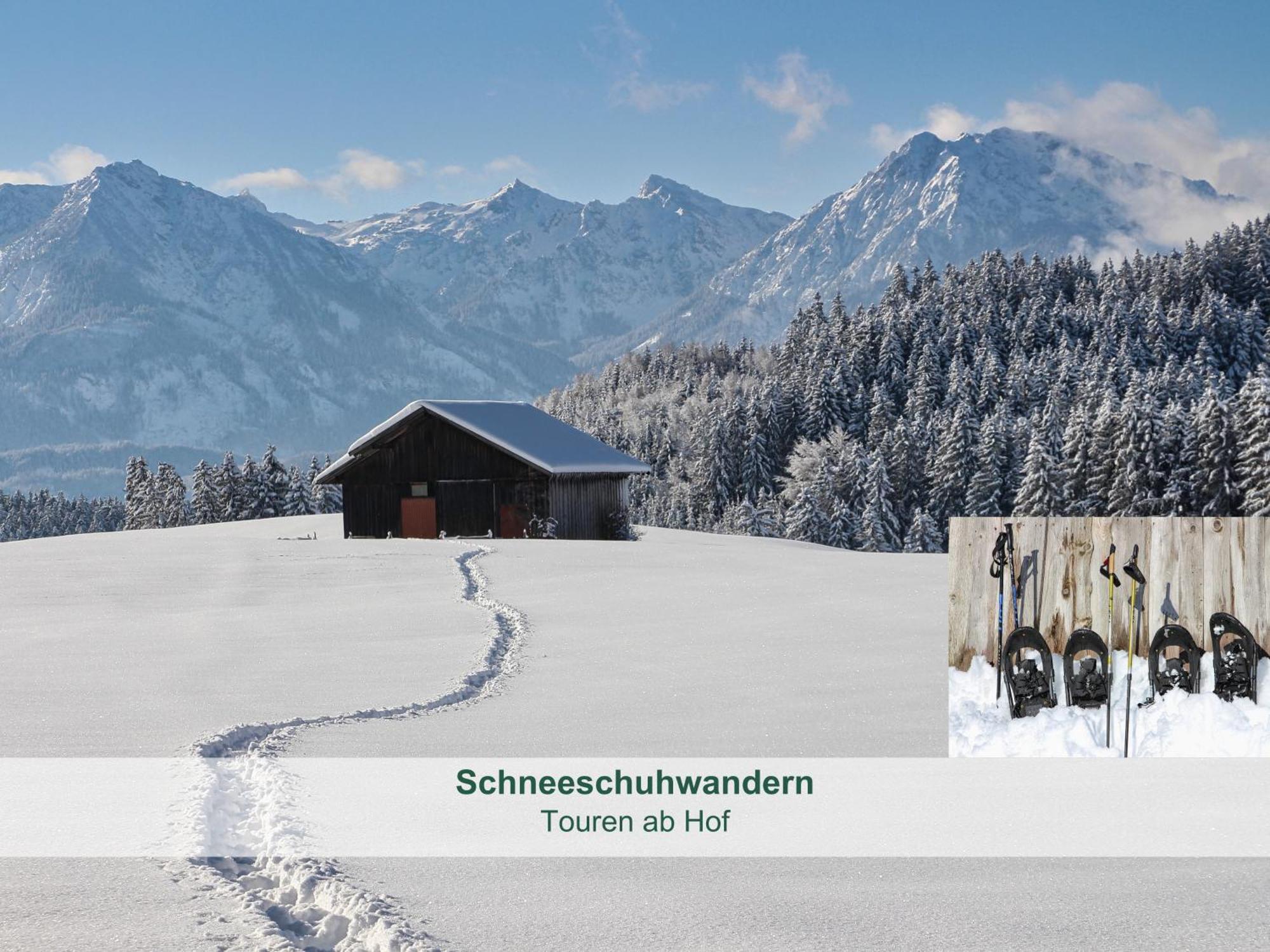 Chalet - Ferienwohnungen - Biohof Stoeger - Panoramasuedbalkon - Grandiose Aussicht Auf See, Berge Und Schloss Neuschwanstein Rieden am Forggensee Exterior photo