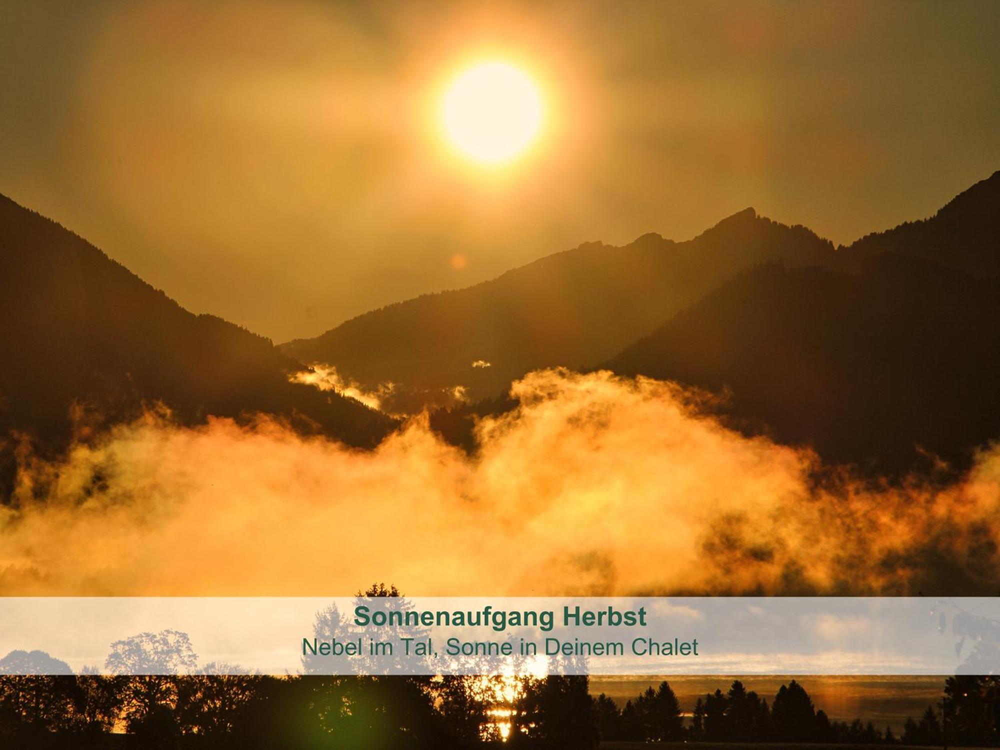 Chalet - Ferienwohnungen - Biohof Stoeger - Panoramasuedbalkon - Grandiose Aussicht Auf See, Berge Und Schloss Neuschwanstein Rieden am Forggensee Exterior photo