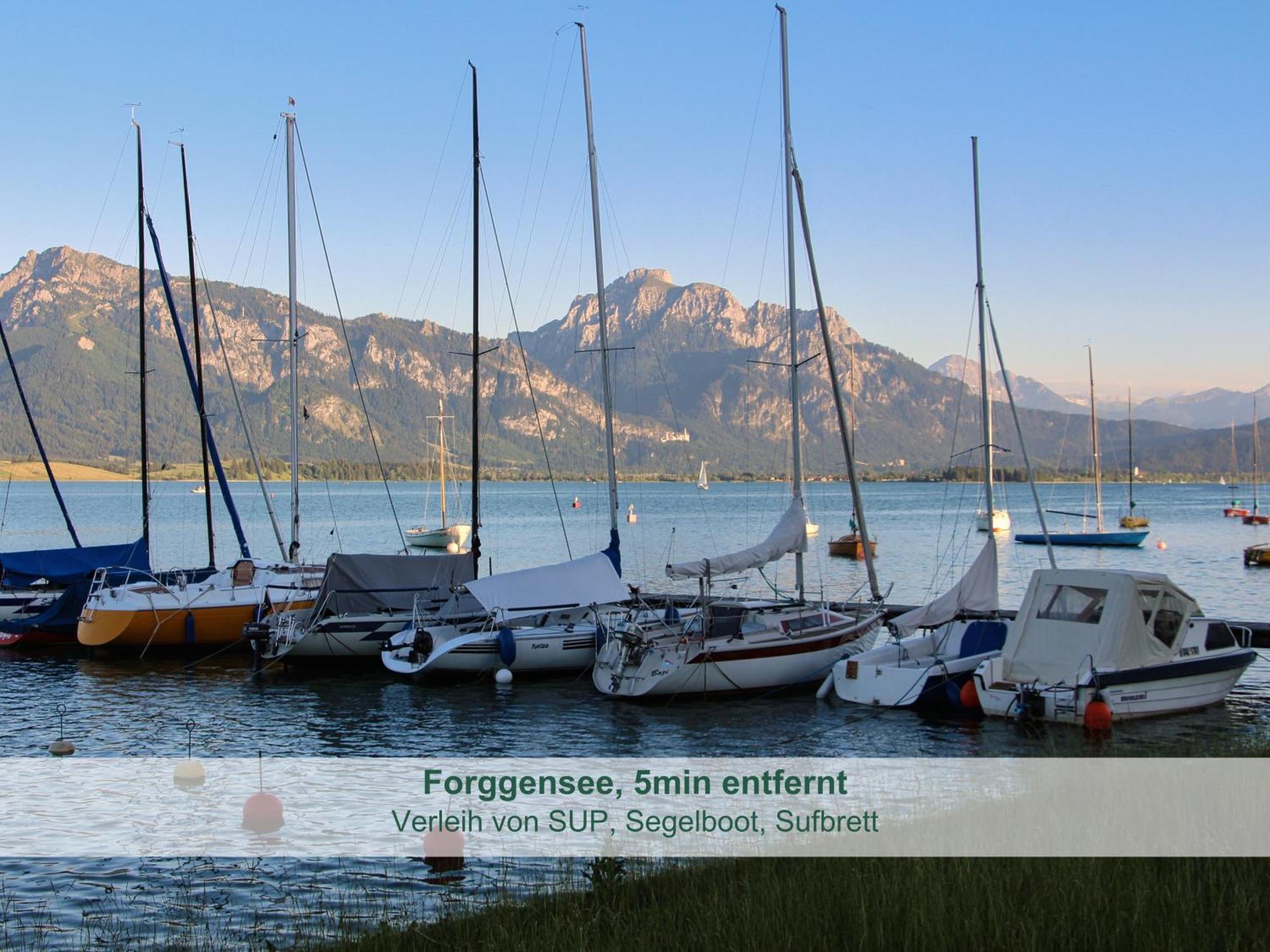 Chalet - Ferienwohnungen - Biohof Stoeger - Panoramasuedbalkon - Grandiose Aussicht Auf See, Berge Und Schloss Neuschwanstein Rieden am Forggensee Exterior photo